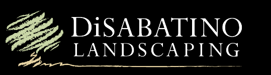 DiSabatino Landscaping & Tree Care
